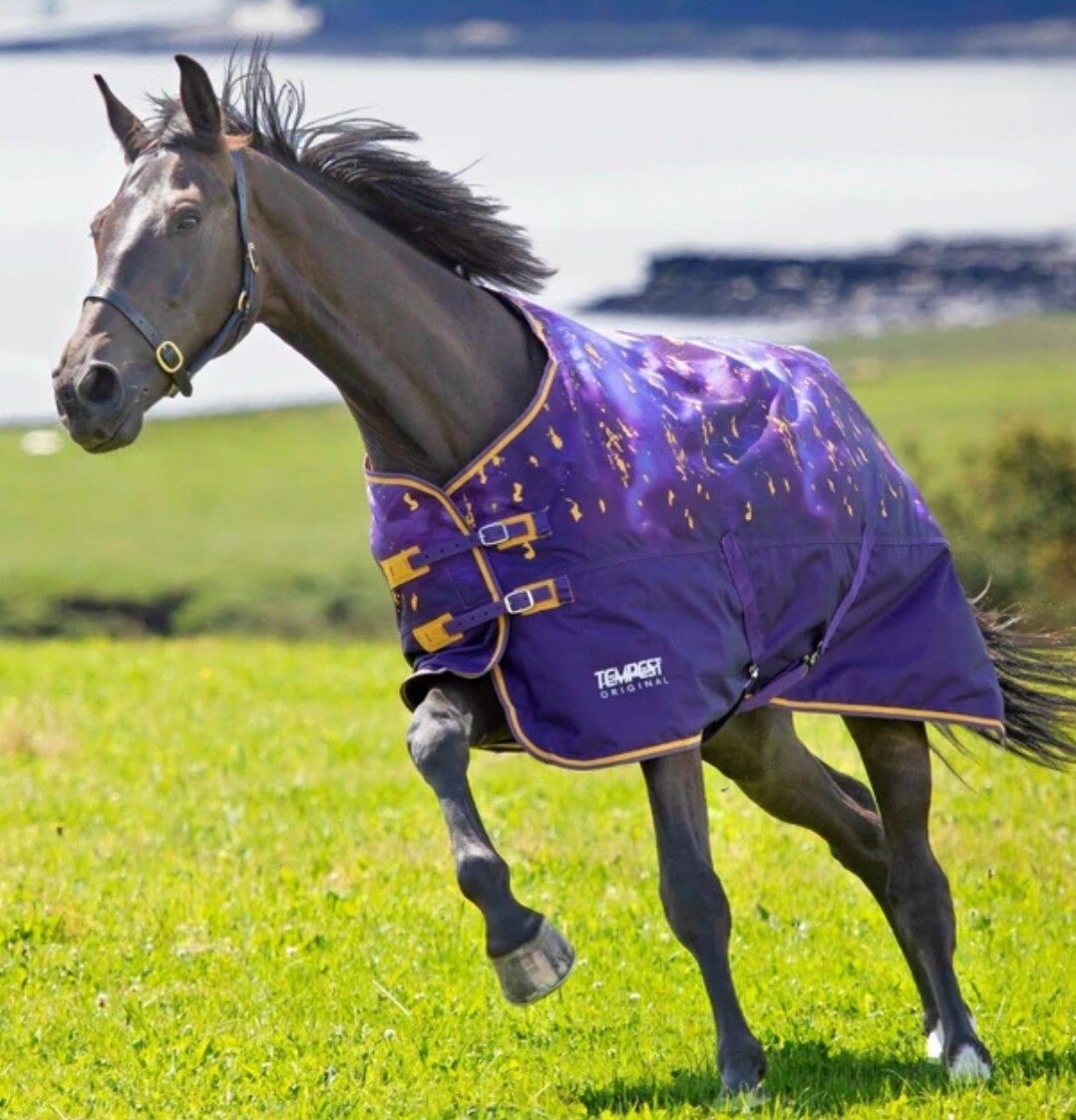 5'6 Shires Tempest 100g Standard Neck Turnout Rug