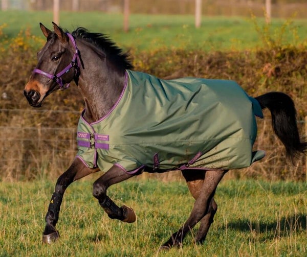 6'9 Horseware Amigo 0g fil Turnout Rug
