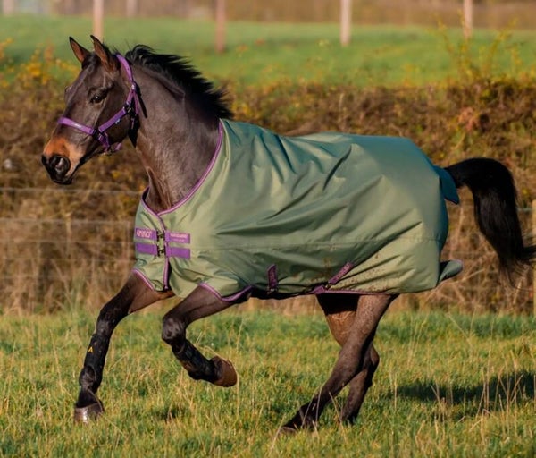 6ft Horseware Amigo Hero 50g Standard Neck Turnout Rug