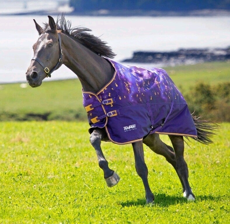 6'6 Shires Tempest Lite Turnout Rug