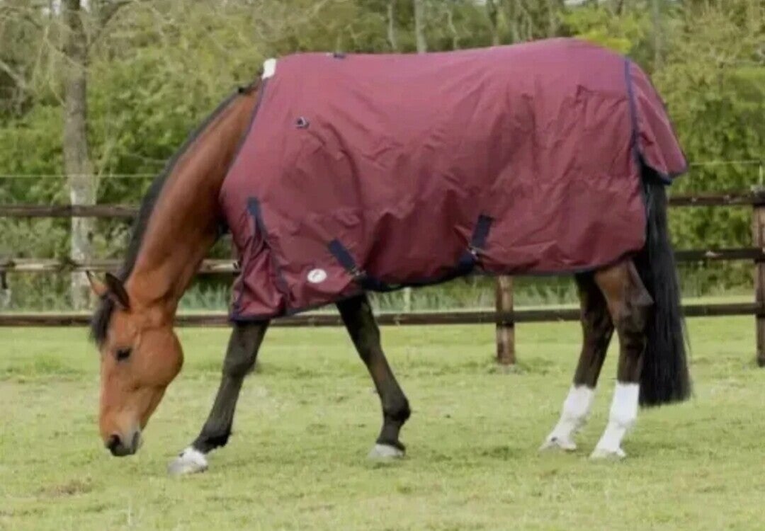 6'3 JHL Lightweight Plus (80g) Turnout Rug