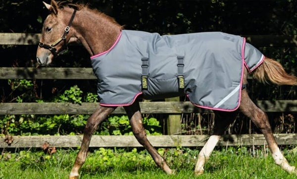 5ft Amigo Foal Turnout Rug (adjustable)