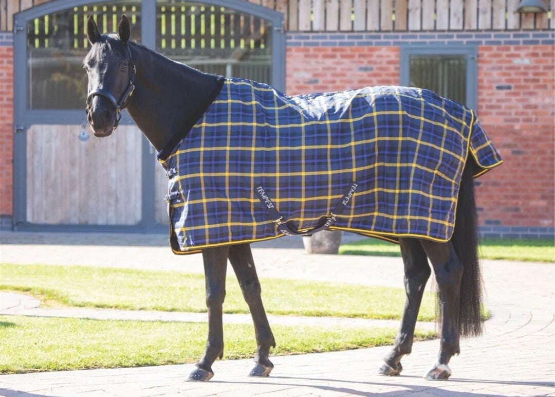 6ft Shires Tempest Plus 0g Stable Rug