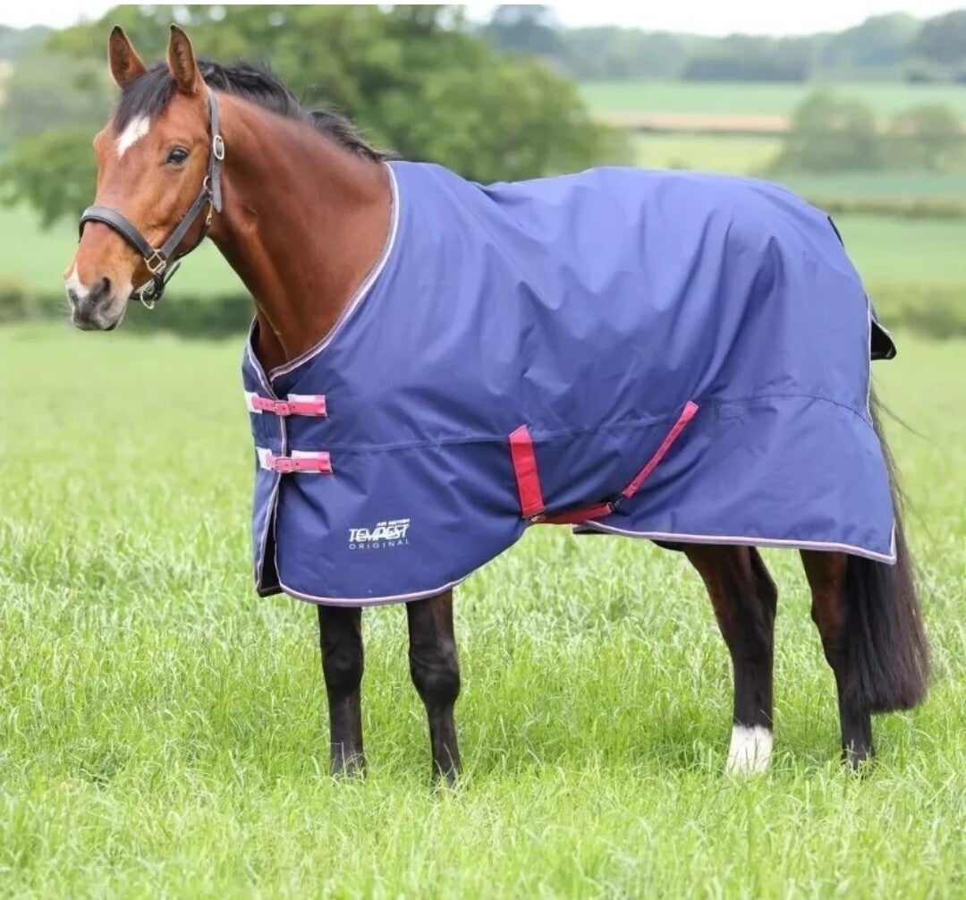 5'9 Shires Air Motion Turnout Rug 0g fil