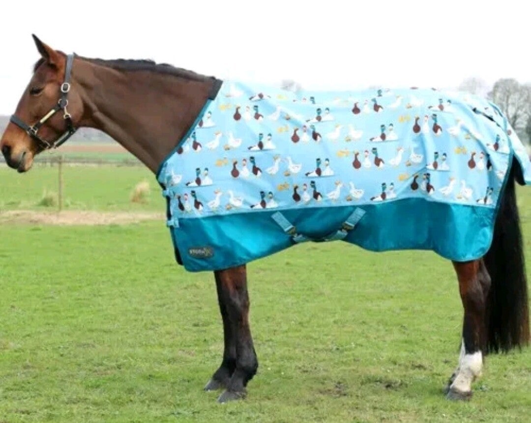4'9 StormX Ay Up Duck 50g Turnout Rug