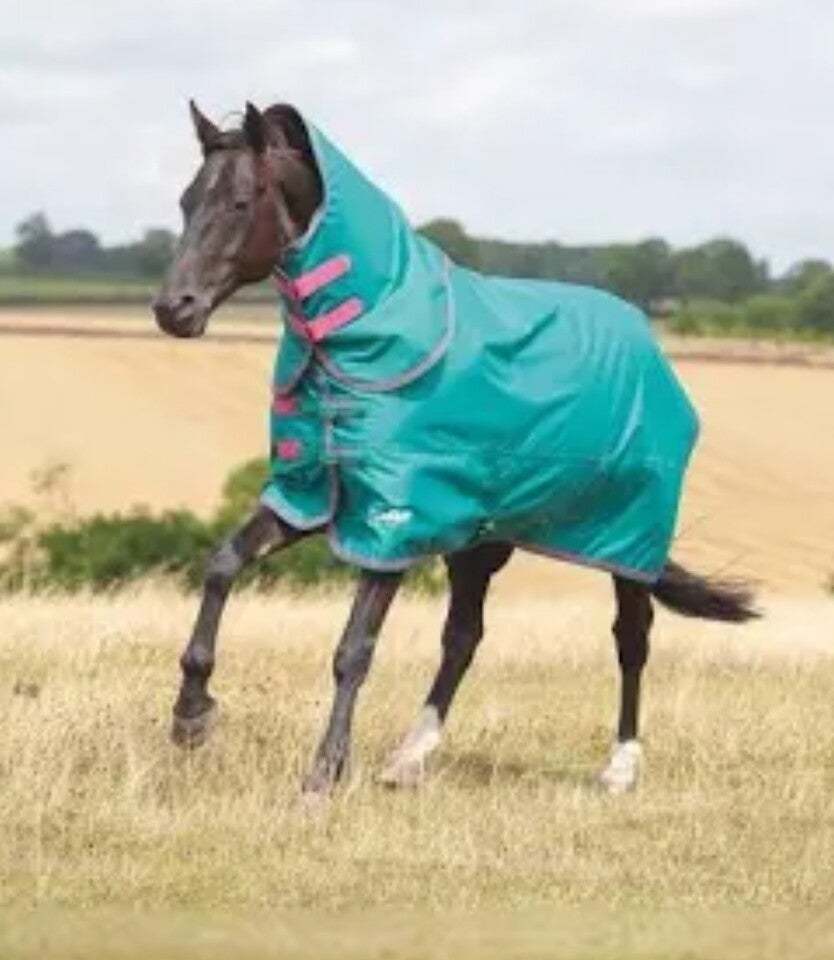 5'9 Shires Tempest 100g Combo Turnout Rug