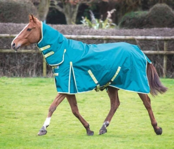 6ft Bridleway 100g Combo Turnout Rug