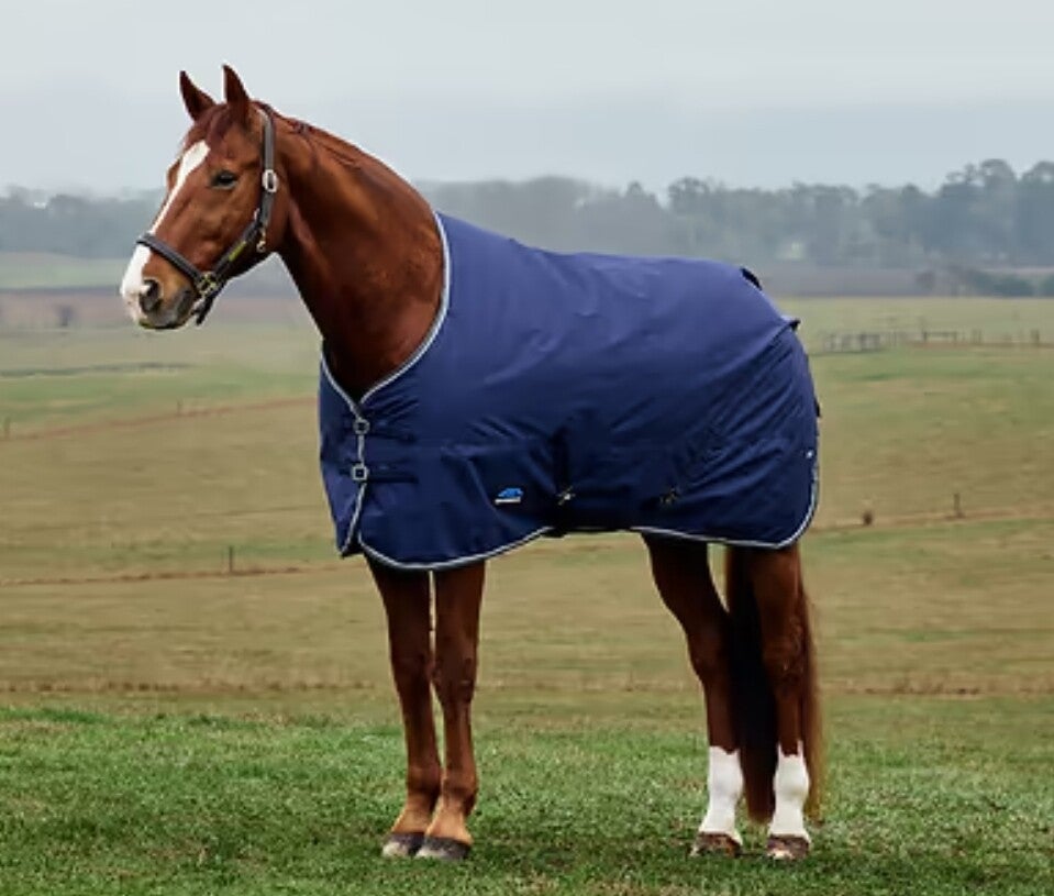 6'3 Weatherbeeta 50g Standard Neck Turnout Rug