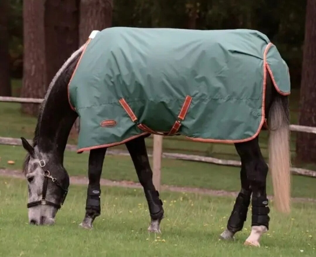 6'3 Weatherbeeta Tyro 50g Standard Neck Turnout Rug