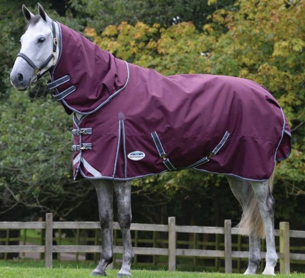 4'9 Weatherbeeta Dynamic 1200d Detachable Neck 100g Turnout Rug