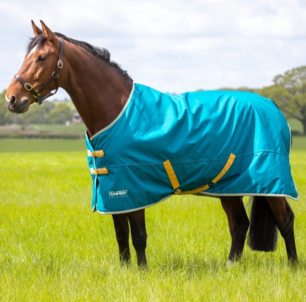 6'3 Shires Tempest 50g Standard Neck Turnout Rug