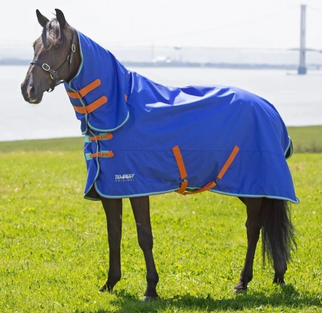 6'3 Shires Tempest 50g Combo Turnout Rug