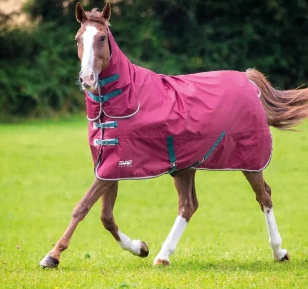 5ft Shires Tempest 200g Combo Turnout Rug
