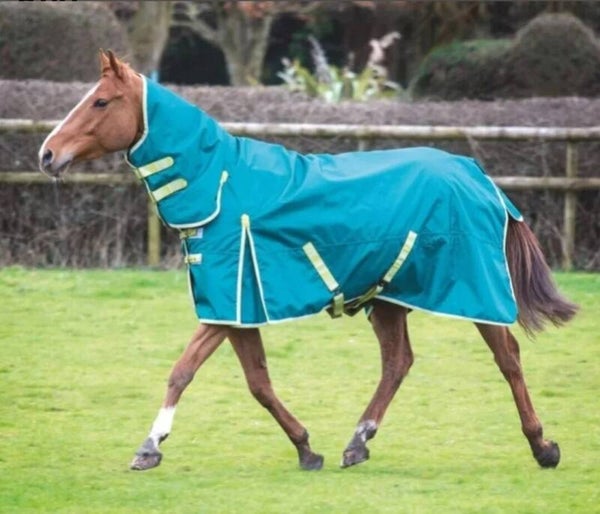 5'6 Bridleway 100g Combo Turnout Rug