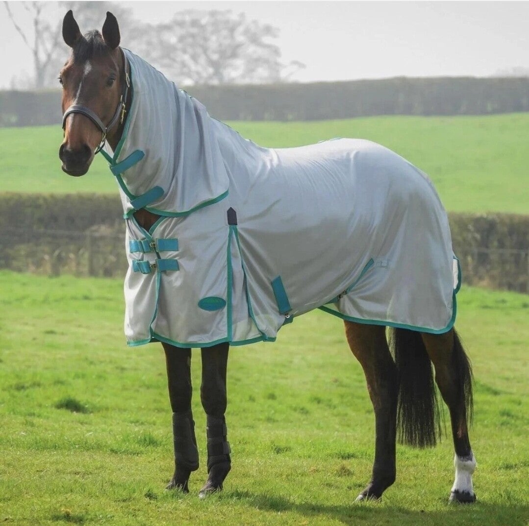 4'9 Weatherbeeta Comfitec essential mesh combo fly rug