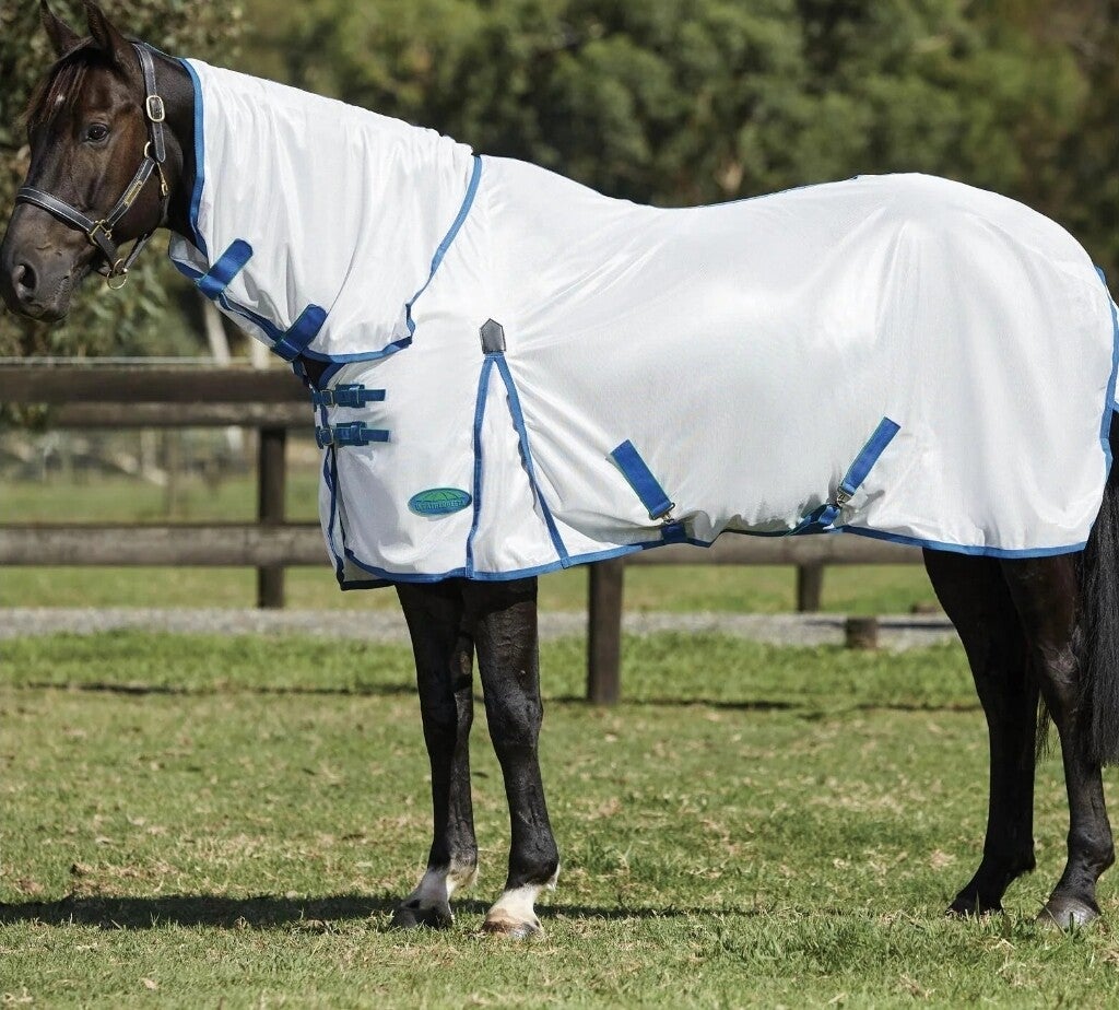 5'6 Weatherbeeta Comfitec Essential Mesh Fly Rug Combo