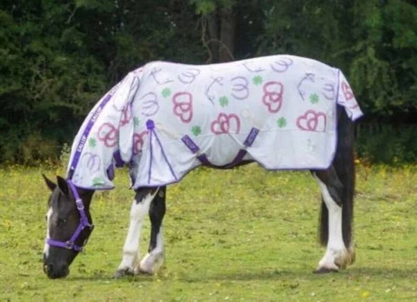 7ft Gallop Bit of Luck Fly Rug Combo