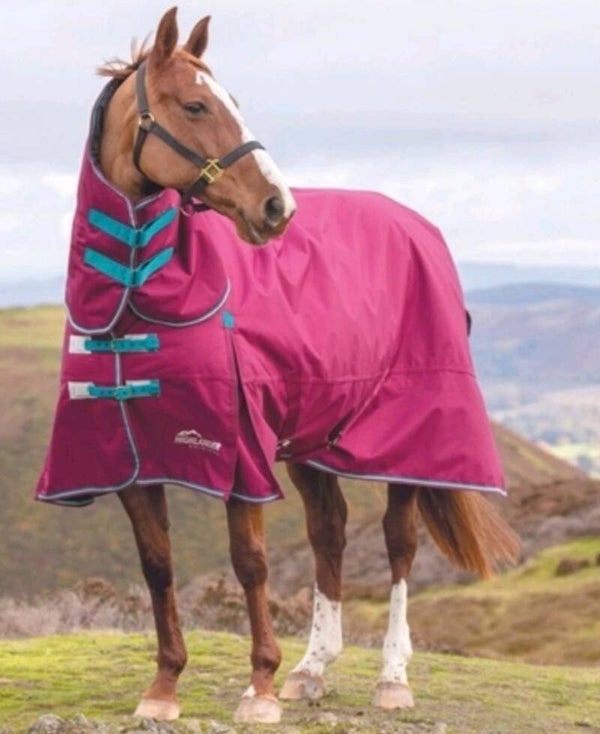 Shires Highlander 300g Combo Turnout Rug