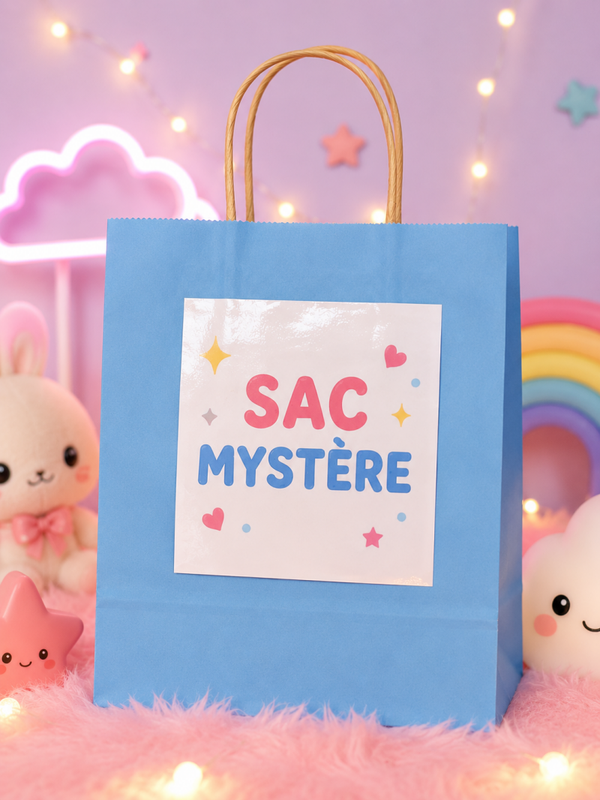 Sac Mystère Harry Potter