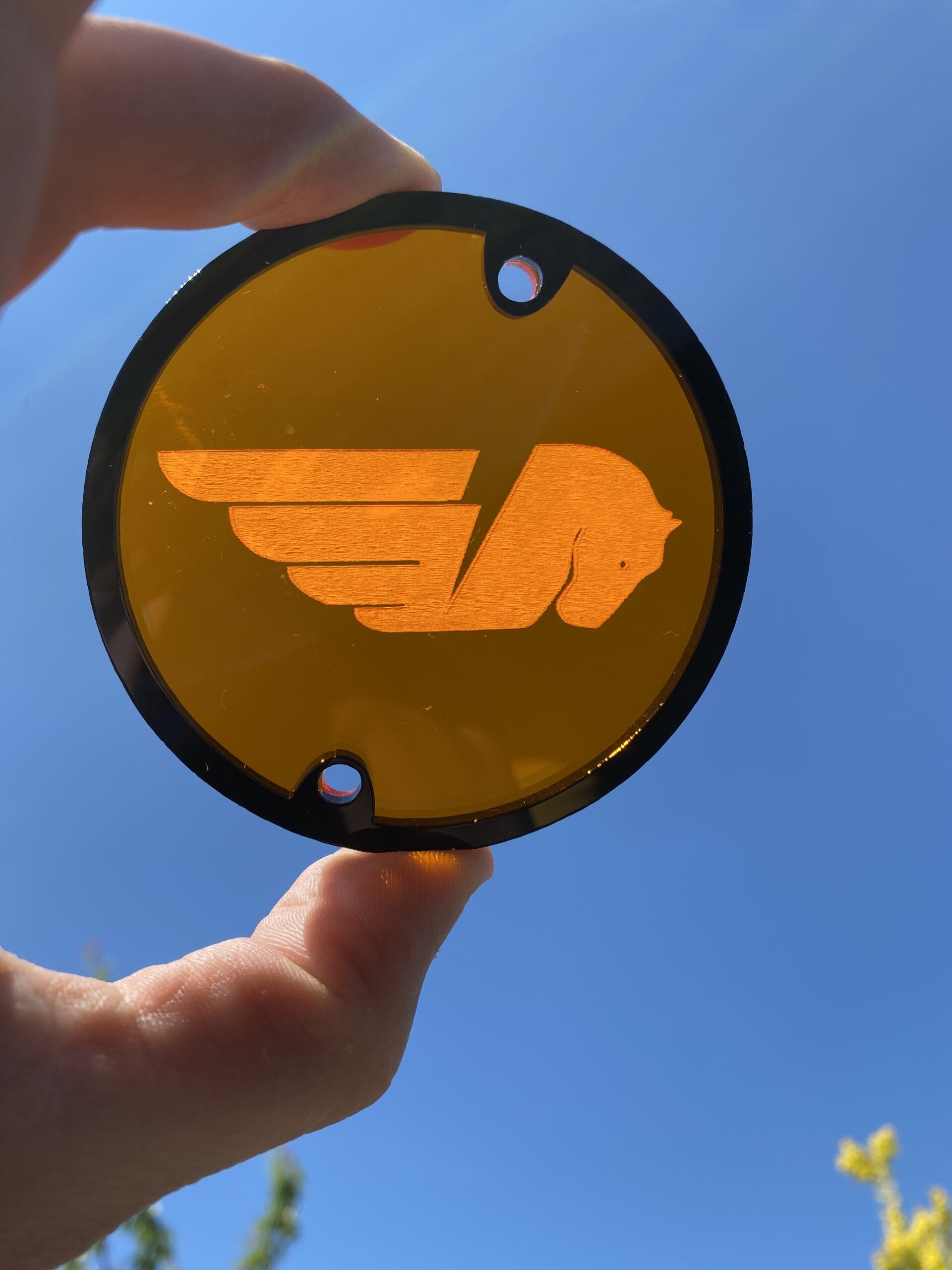 Buell Translucent Timing Cover '03-'07 XBs XBr