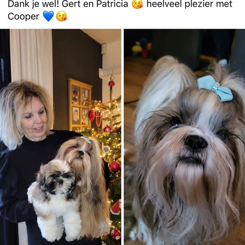 beautystrikcooper.jpg