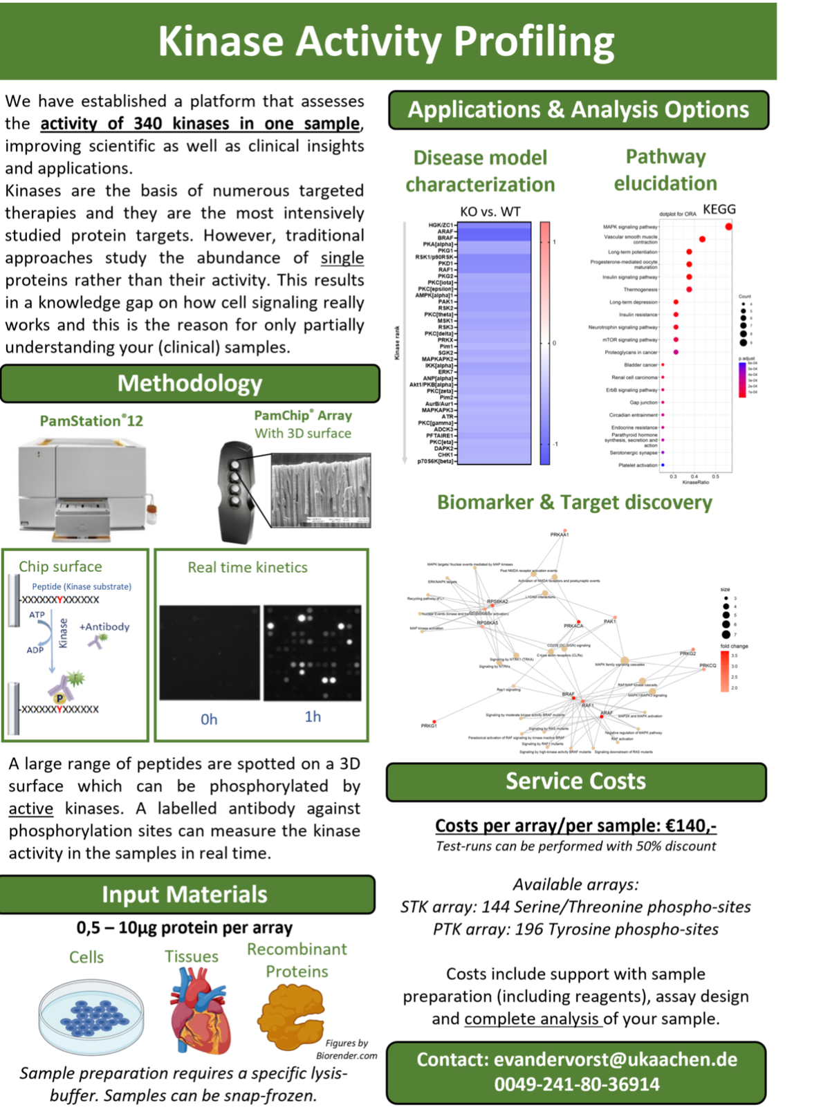 Kinase array | Van der Vorst LAB