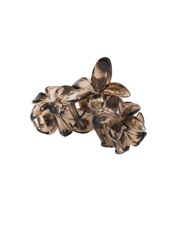 HAARKLEM WILDFLOWER - BRUIN