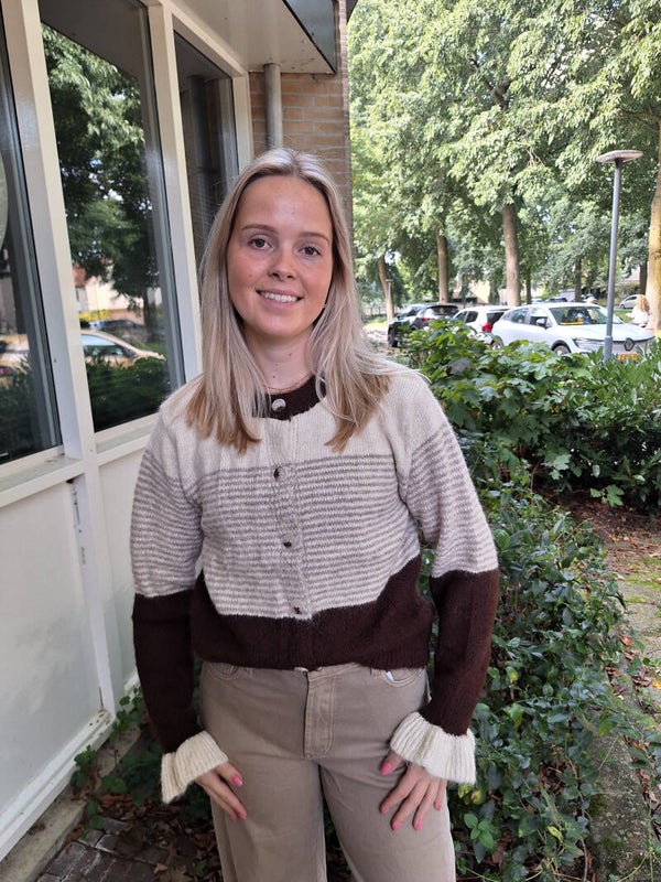 VESTJE MET STREPEN - BRUIN