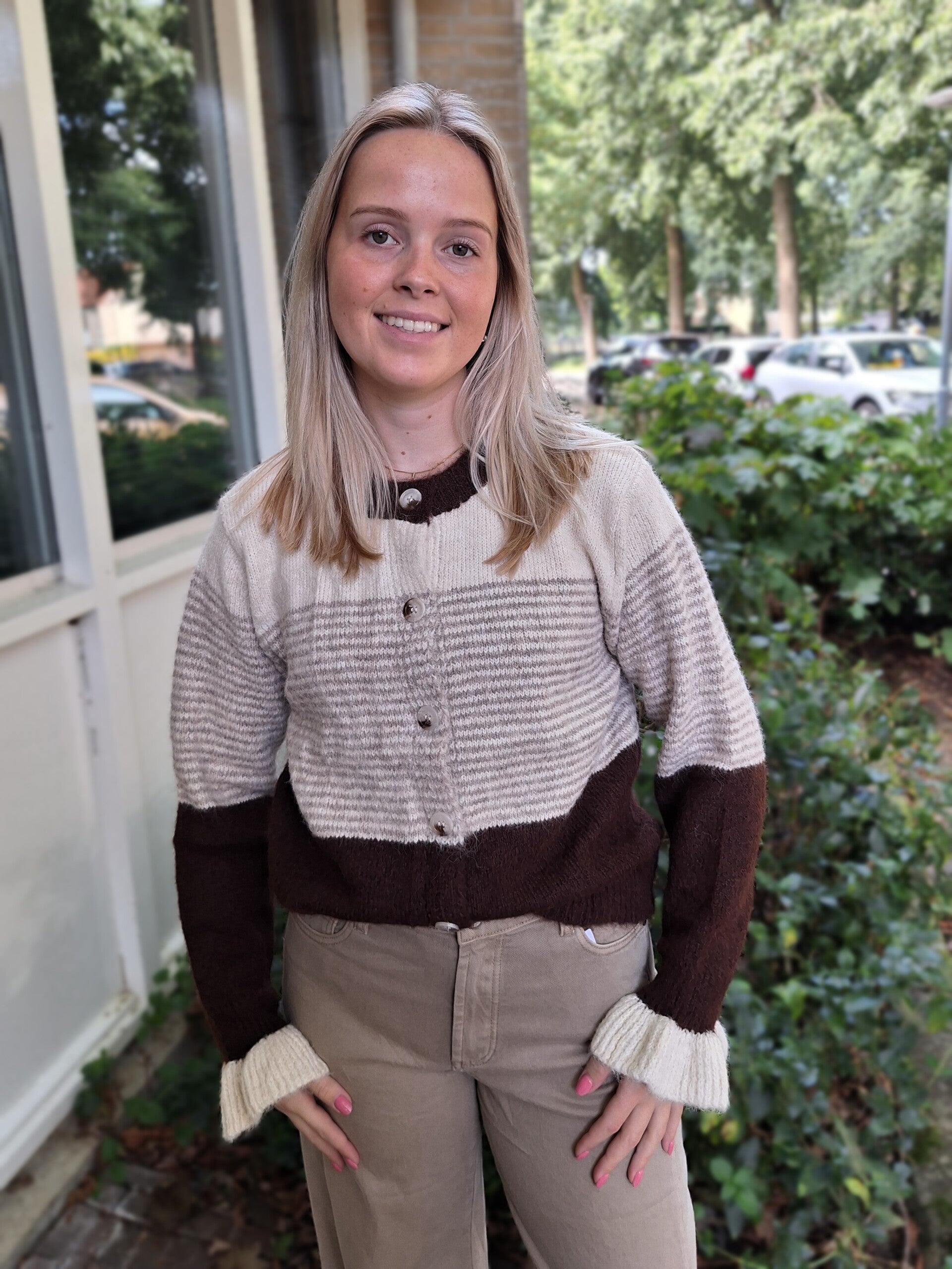 VESTJE MET STREPEN - BRUIN