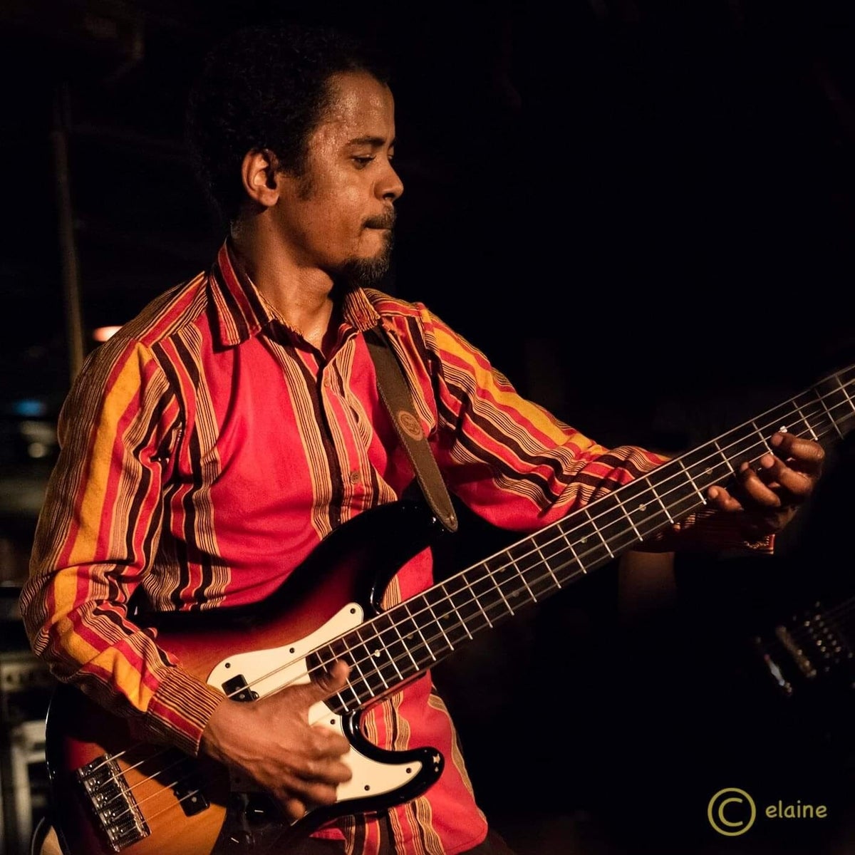 Artistes originaires de Madagascar