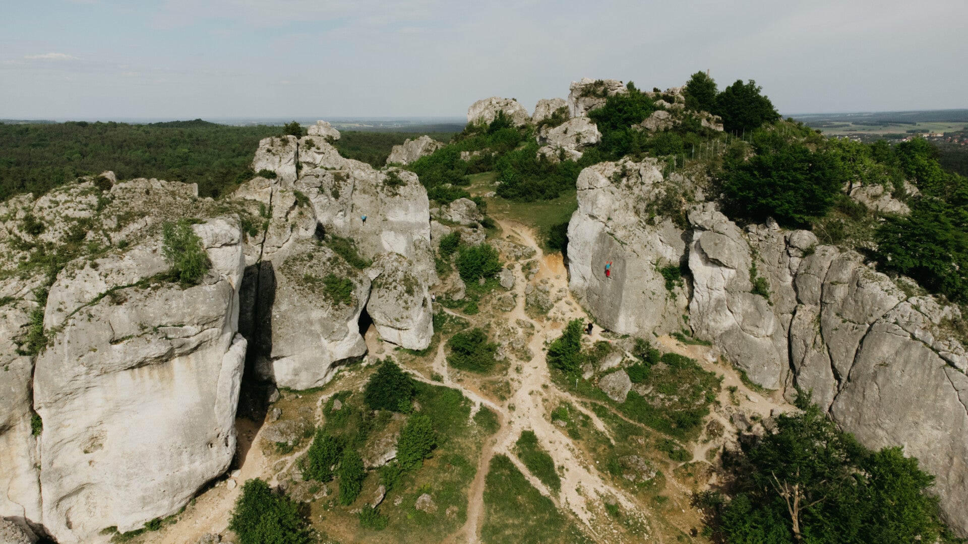 Limestone rocks surrounded by the forest
