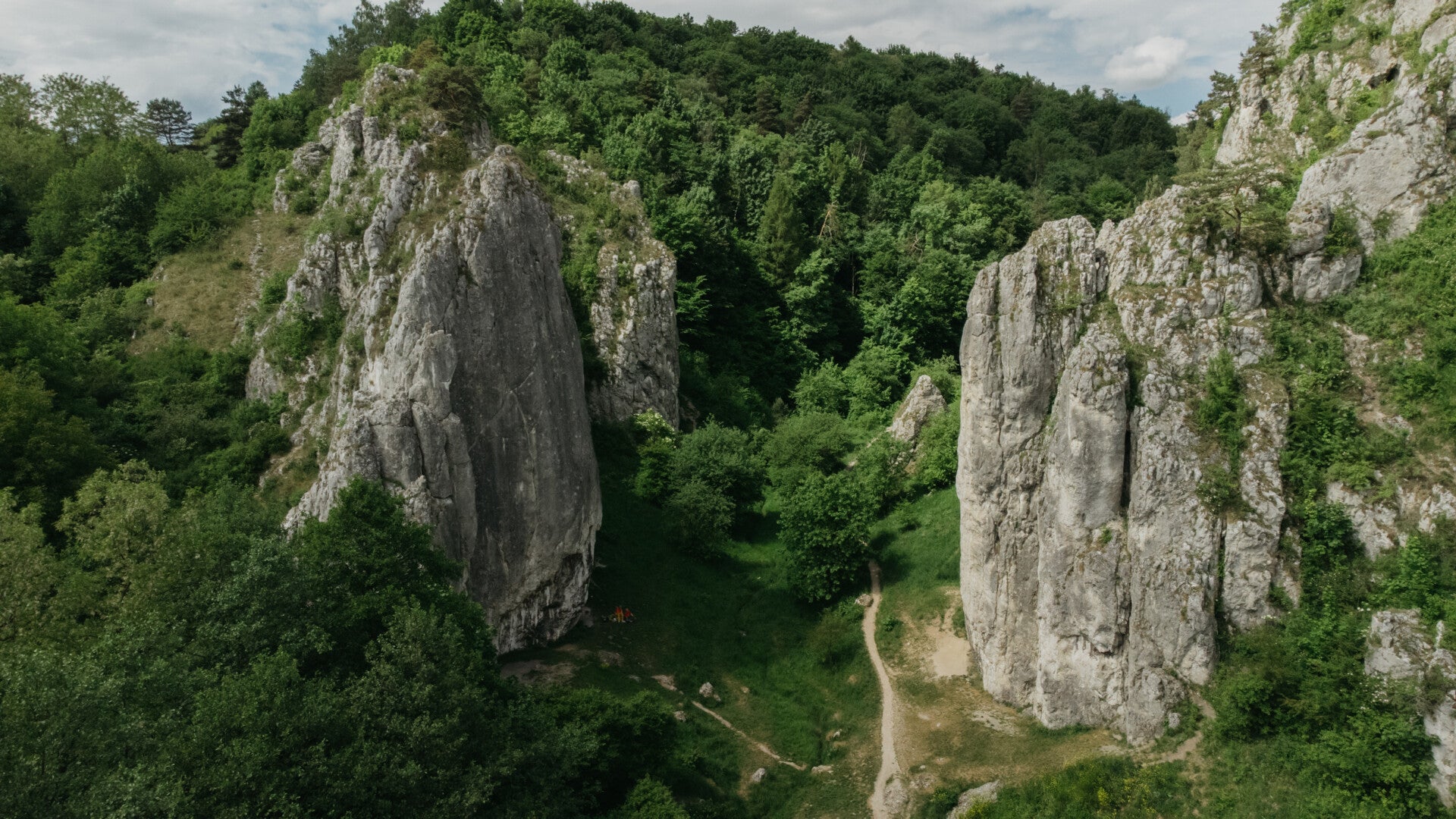 Limestone rocks surrounded by the forest