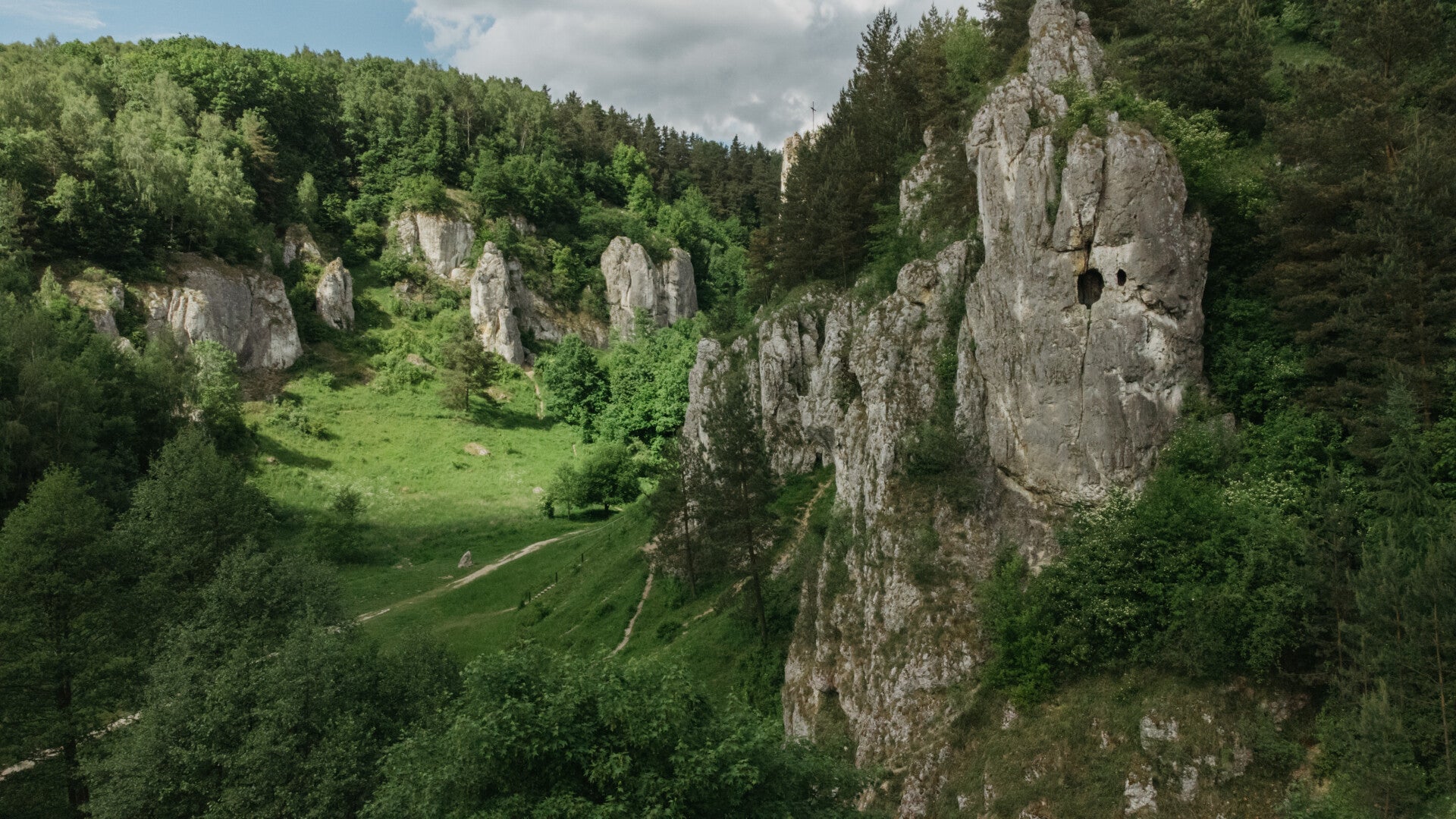 Velley with limestone rocks and a forest