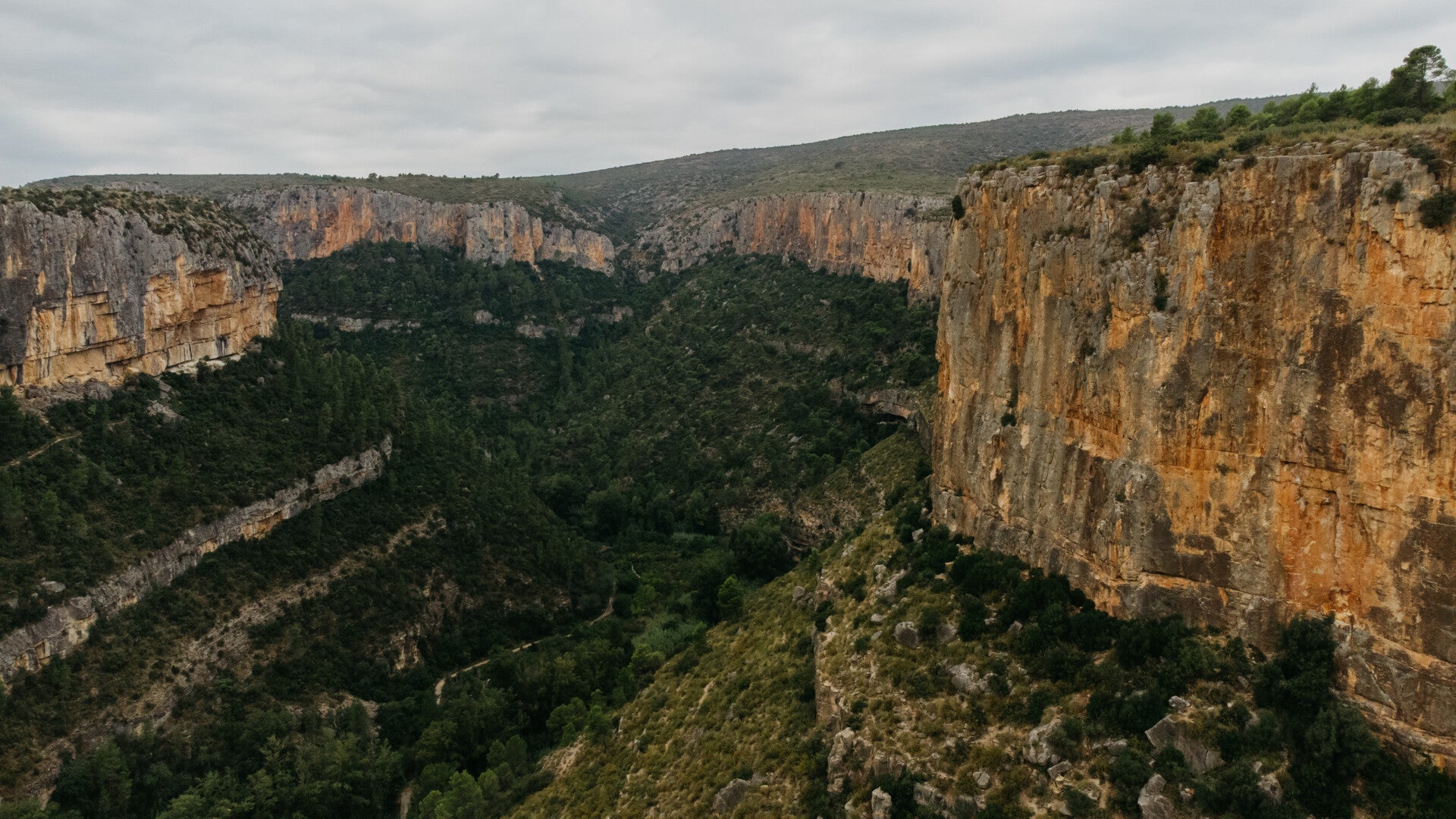 Gorge in Spain with orange limestone rocks and trees on the bottom
