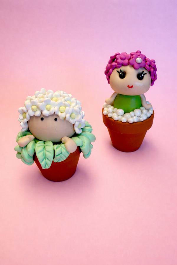 DIY Pakket Daisy en Lily