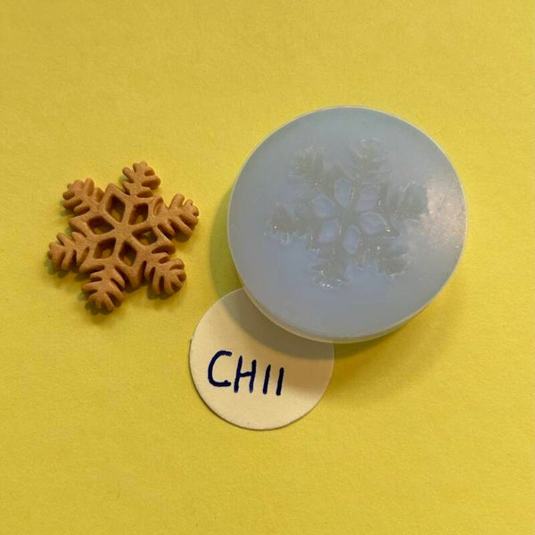 CH11 Kerstster groot