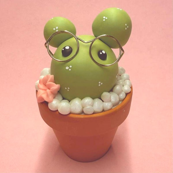 DIY Pakket Cactus 🌵