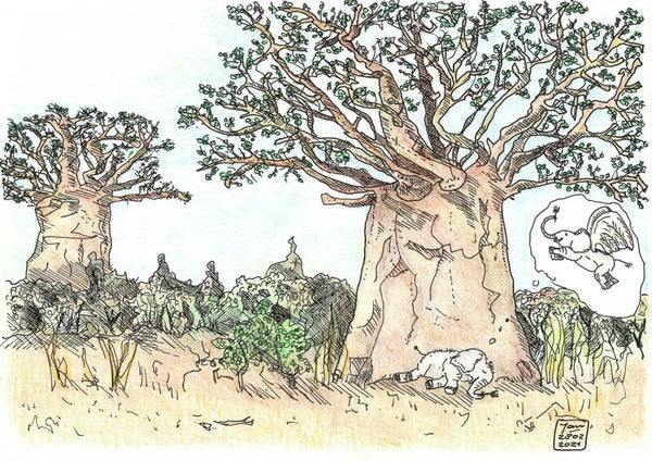 Video sprookje; Je mooiste dromen dromen.