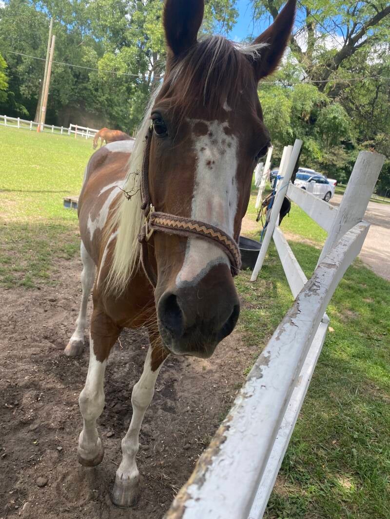 Miss Pennie ready for her close up
