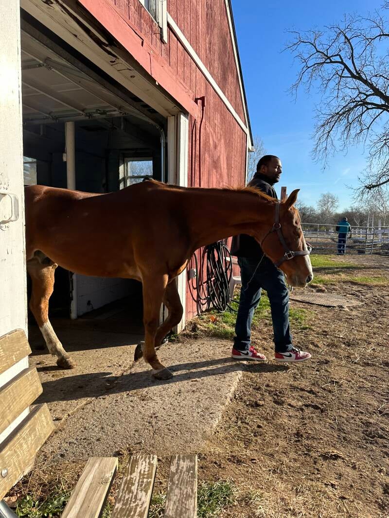 Ready for his morning walk 