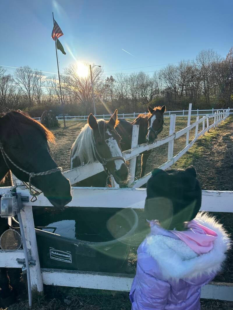 They love the youngest visitors the most