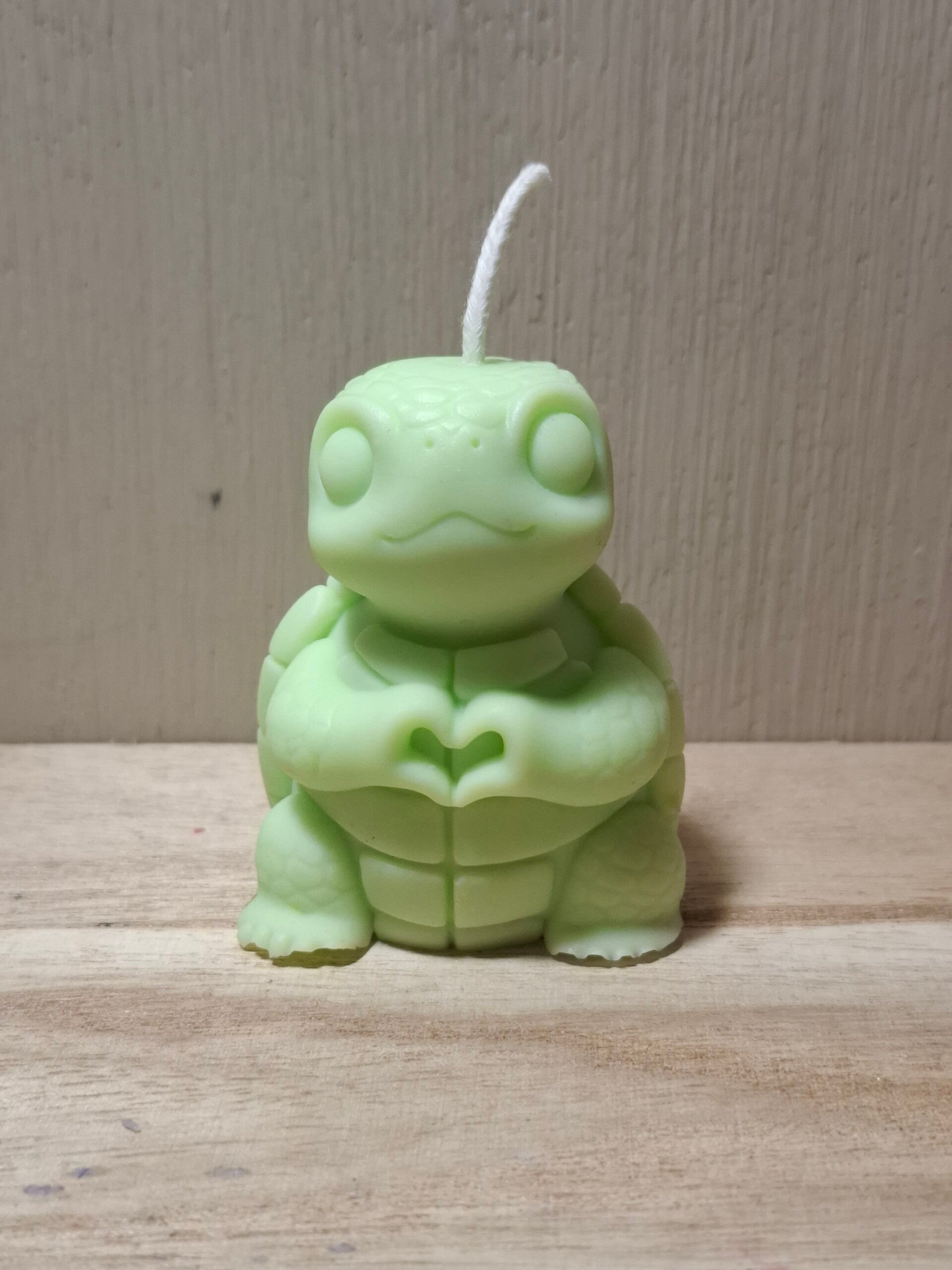 Schildpad kaars Schattig cadeau/geboortebedankje