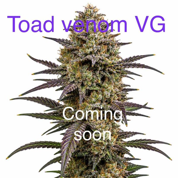 Toad venom VG