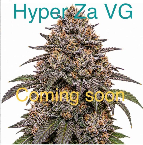 Hyper Za Vg