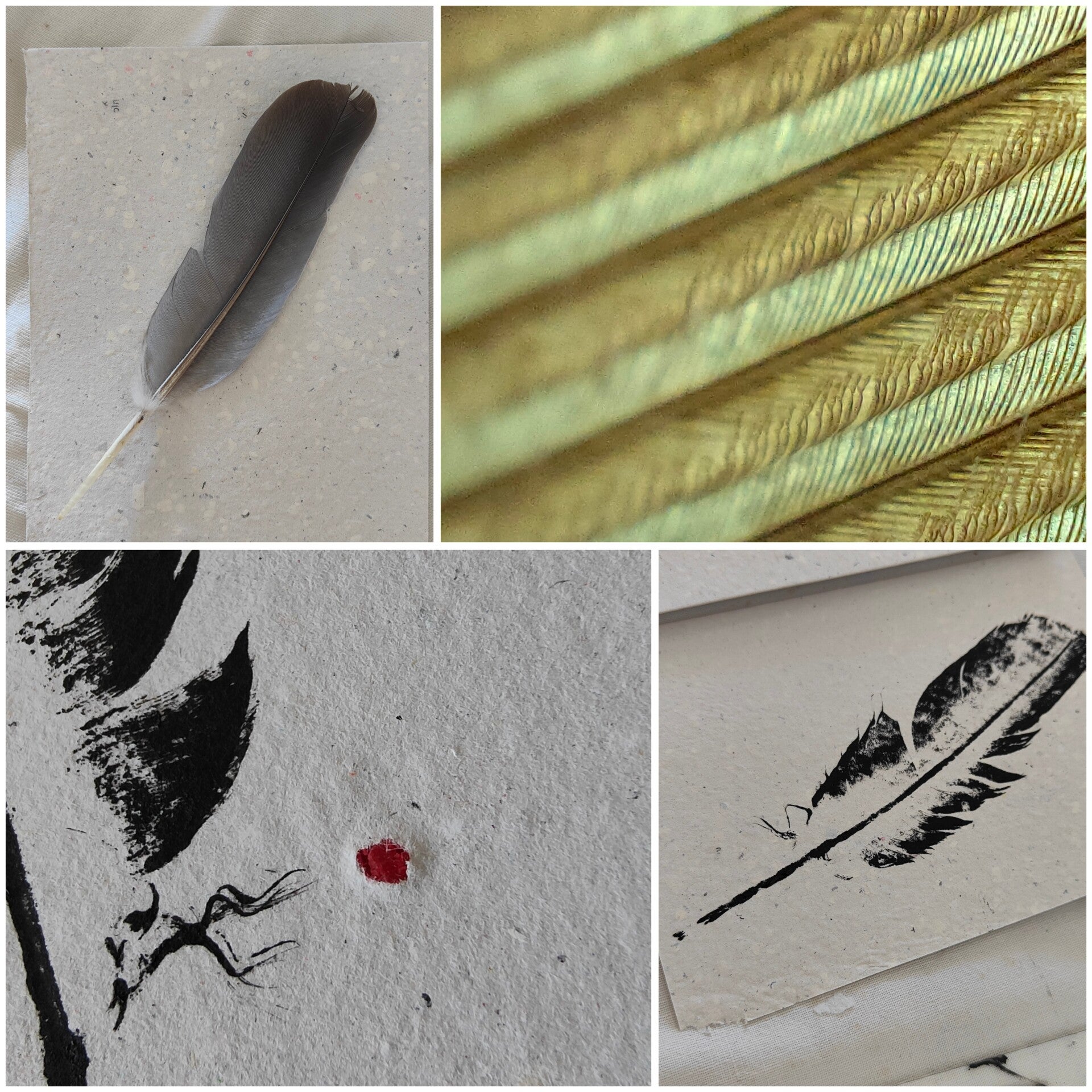 Monotype d'une plume sur papier recyclé artisanal