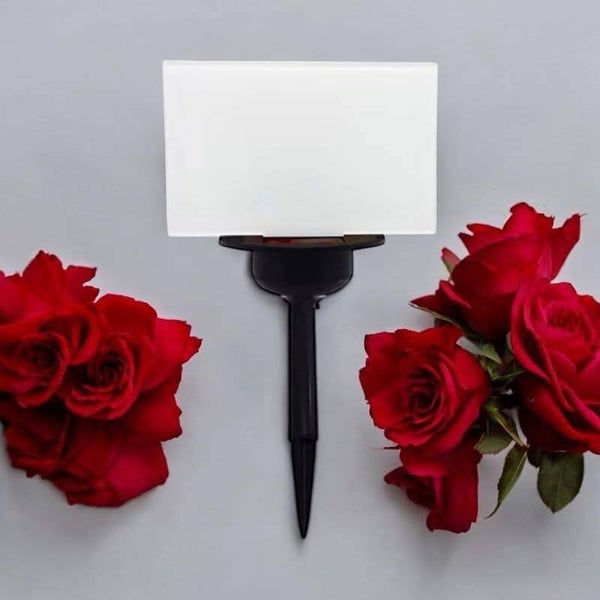 Sublimation solar light