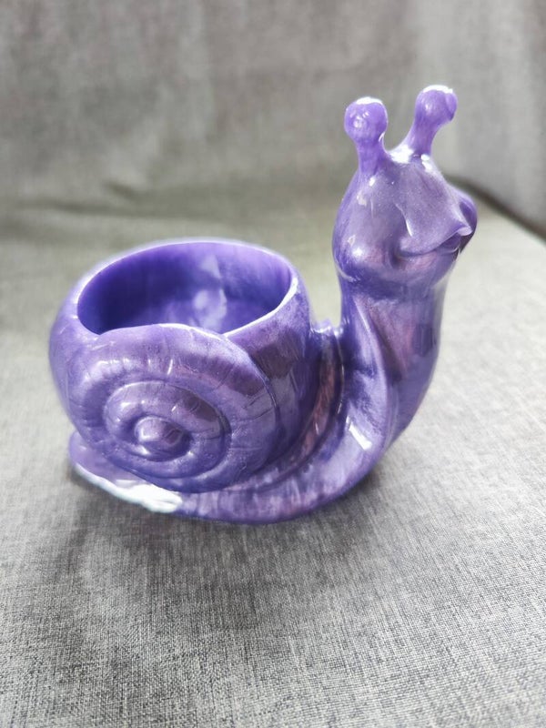 Schnecke