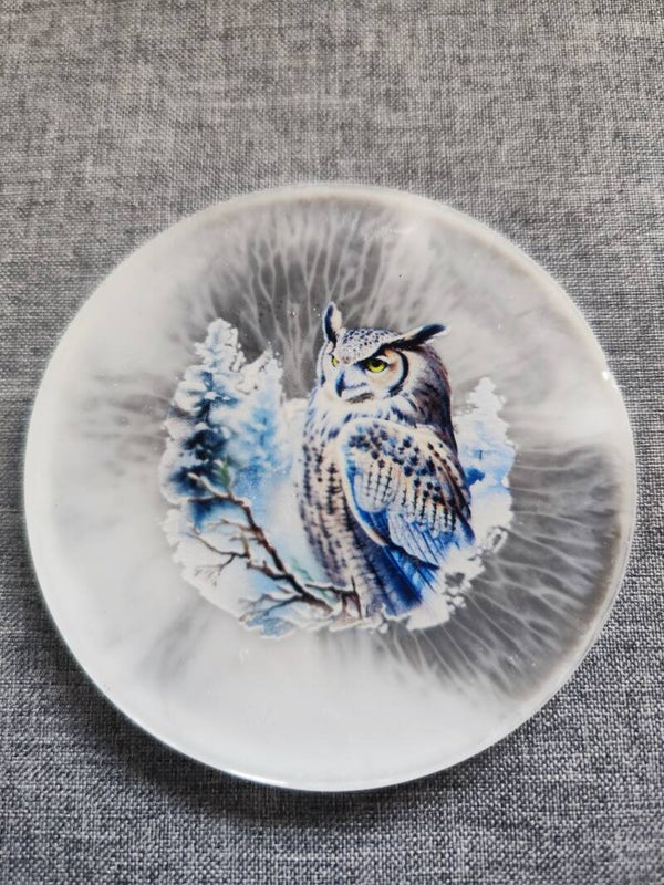 Untersetzer Eule