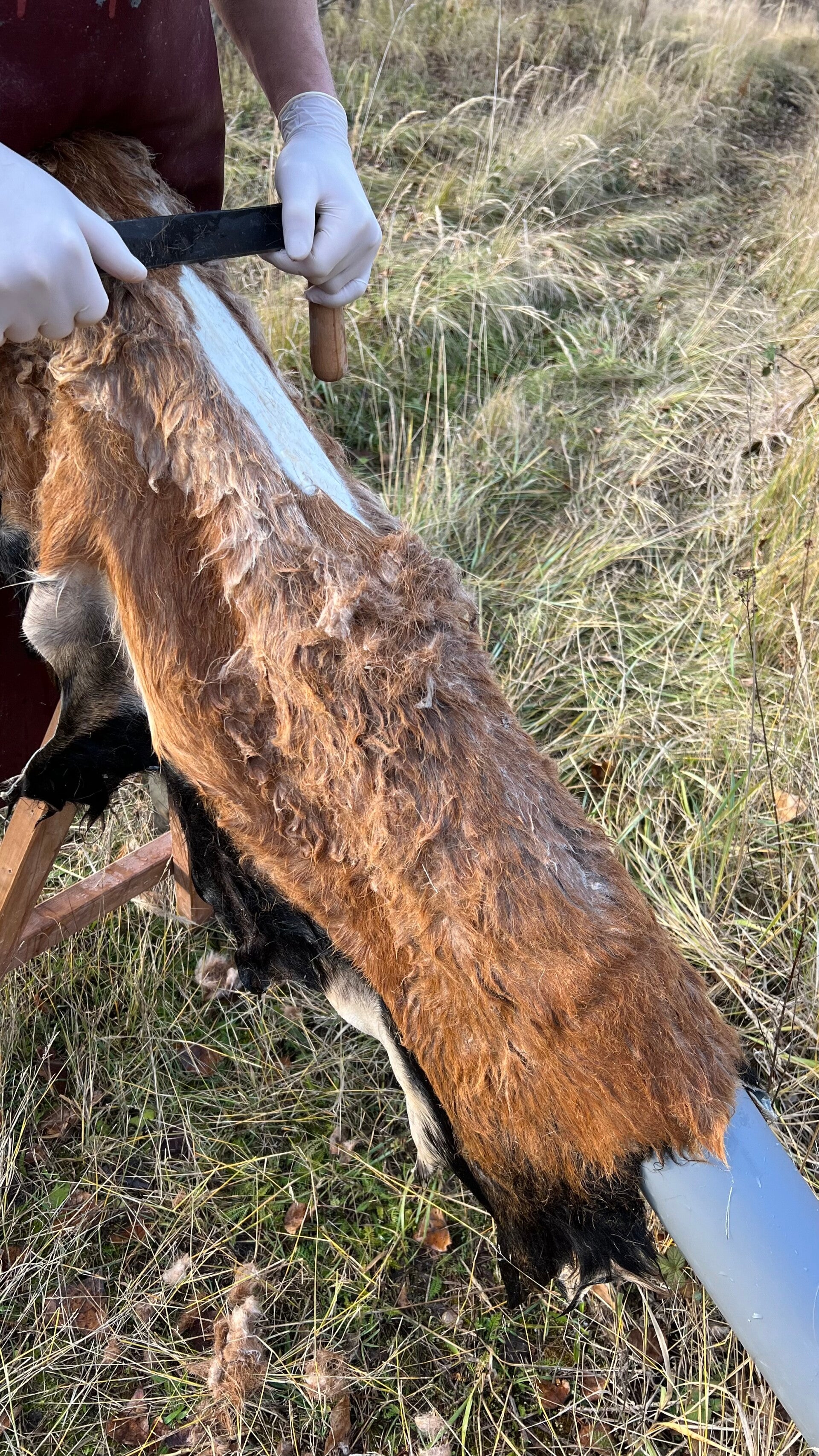 "Sören hält ein fertiges Stück Wildleder in der Hand und riecht daran"