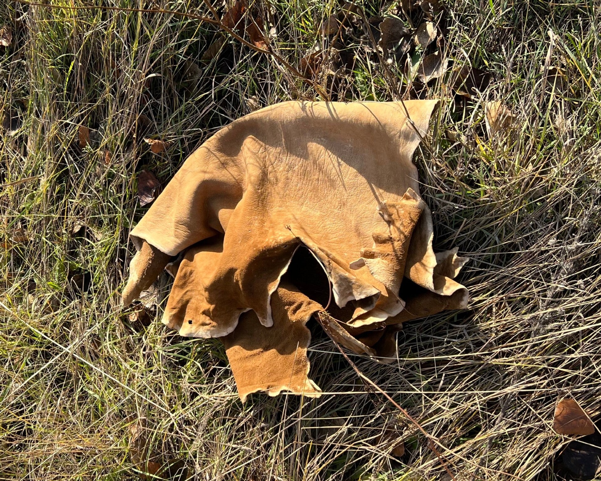 "Fertig gegerbtes Wildleder aus dem Wildlederkurs von WildLederFeuer“